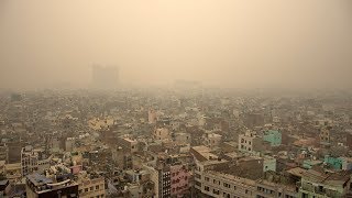 video: How I survived the pollution of Delhi and Beijing with my young family