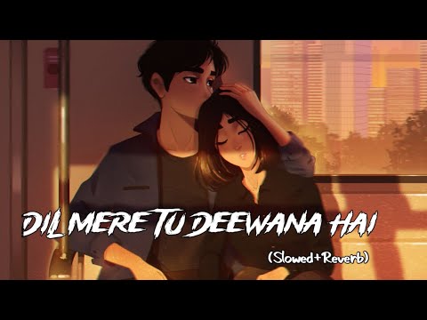 Dil mere tu deewana hai | slowed+reverb [ lofi ] | sooryavansham | amitabh bachchan