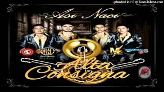 Alta Consigna-Si Yo Fuera Ladron(2016)