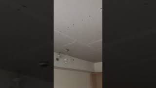 Album cover: Plastering videos 
