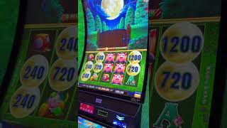 Beginner's Luck Is REAL!!!  #casino #slots #jackpotjudo #gambling #jackpot