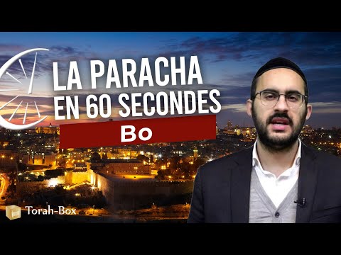 La Paracha en 60 secondes - Bo (Binyamin Benhamou)