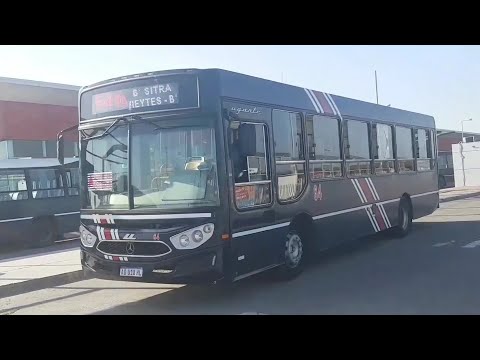 Compilado de Bondis - Parte (1/9)