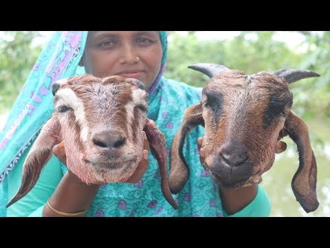 Village Food Goat Head Vuna Recipe Delicious Bengali Cooking Traditional Yummy Goat Head Curry Video