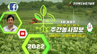 [ 주간농사정보 ] 8월 둘째주 (2022. 08. 08. ~ 2022. 08. 14.)
