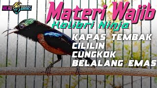 Download lagu MASTERAN KONIN FULL MATERI MEWAH ISIAN LOMBA MATERI WAJIB SEMUA KONIN mp3 Download lagu MASTERAN KONIN FULL MATERI MEWAH ISIAN LOMBA MATERI WAJIB SEMUA KONIN mp3