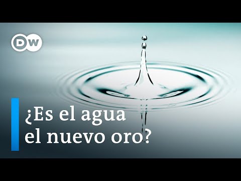 The fight for water | DW Documentary