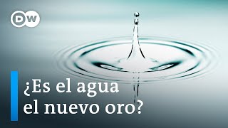 La lucha por el agua | DW Documental