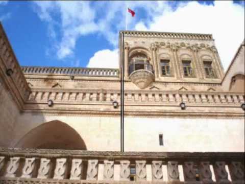 kurtce felek ax felek hic bir yerde yok bole damar