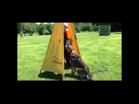 Protection - 17 months