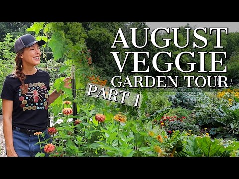 August 2021 Vegetable Garden Tour : Part 1