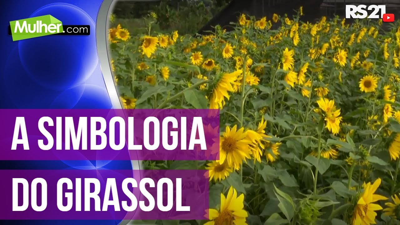 A simbologia do Girassol - Mulher.com - 15/04/2019