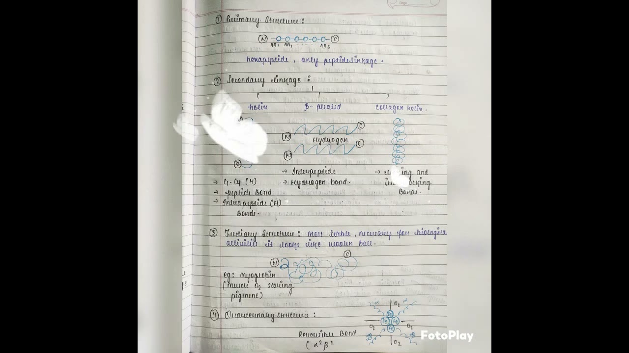 Biomolecules full chapter notes (NEET).. ✨✨😉
