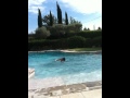 Lolita Pool