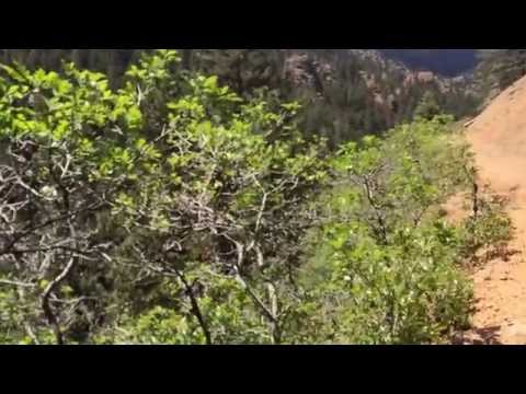 Subconscious Mind for Success - The Power of the Subconscious Mind