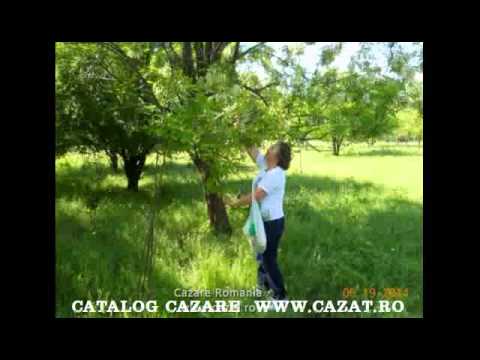 Cazare Mitoc, Iasi - Cazat.ro