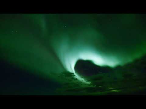 8K Jungle Sounds - Exotic Birds Singing - Tropical Forest - Relaxing Incredible Jungle Sounds 8K