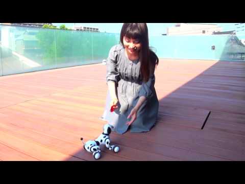 Ｈｅｌｌｏ！Ｚｏｏｍｅｒ (ハローズーマー) 　いちについて♪編