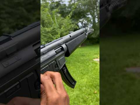 GSG – 15 22LR (Ich würde niemandem empfehlen, diese Waffe zu kaufen)