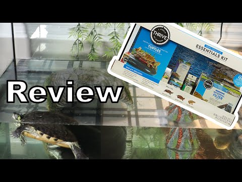 Thrive turtle start up kit from PetSmart review 40 gallon