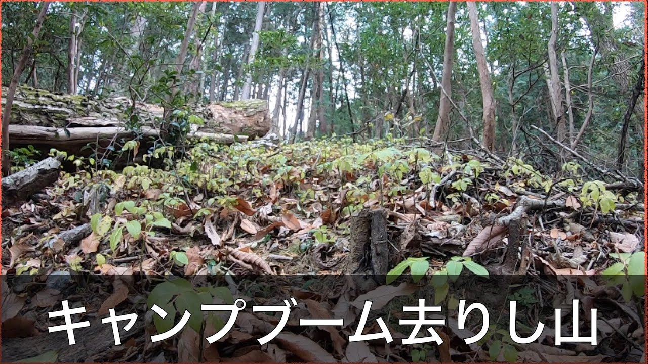 【コロナ禍】キャンプブーム去り再放置された山の今【山開拓#54】