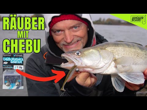 CHEBURASHKA RIG | Zander fishing from the shore | Live bites | Dietmar Isaiasch | Anglerboard TV