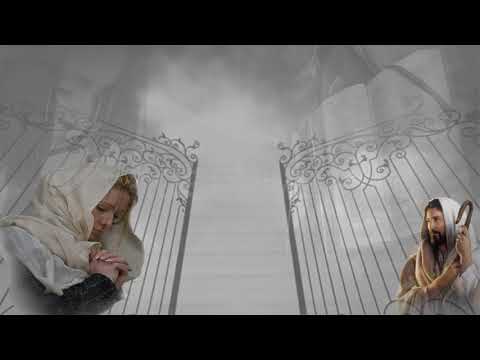 Danilo Casemiro e Thata Rodrigues - Teus Planos