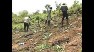LA BIODIVERSIDAD EN LA AMAZONIA