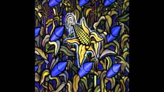 Flat Earth Society-Bad Religion