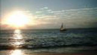 Remy & Roland - Mexico can wait (Mexico Pictures)