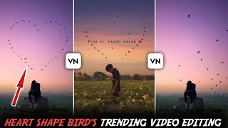 Instagram Birds Heart Shape Video Editing  Trendin