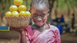 Thumbnail: Microfinance in Mali: Opportunities for women entrepreneurs