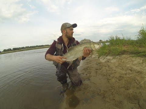 BoleńTV: Atak Bolenia