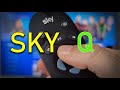 SKY Q Demo And Review