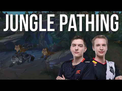 Starting at Wolves - The advantages of a leashless Jungle Path