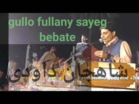 gullo fullany Sayegh bebate//shajan dawoodi 🎧👈