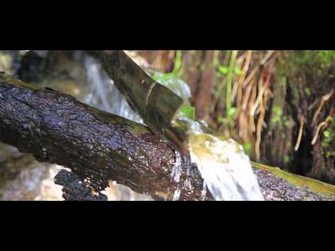 Video Agua Para La Vida de Shaka y Dres