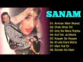 Sanam Movie All Songs | Sanjay Dutt, Manisha Koirala, Vivek Mushran | Evergreen Music