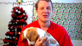 Going to Raw Tonight : MONDAY MORNING MARKOUT