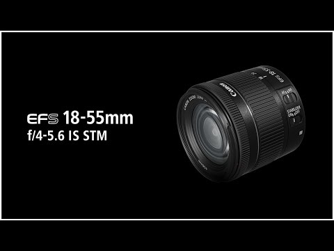 Canon EOS 90D + EF-S 18-55mm f/4-5.6 IS STM video