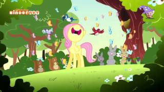 Kadr z teledysku Hier een wonder [So Many Wonders] tekst piosenki My Little Pony: Friendship Is Magic (OST)