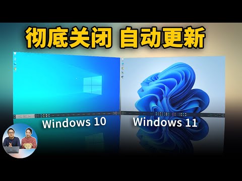 彻底关闭 Windows 10 、Windows 11 的自动更新功能！手动 / 一键关闭教程 | 零度解说