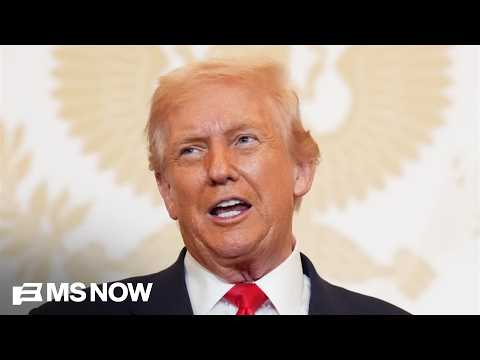 Trump 'using millions in taxpayer money for state-sponsored propaganda': Rep. Raskin SLAMS ad