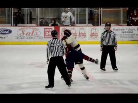 Kenai River Brown Bear Fights Fairbanks Ice Dog