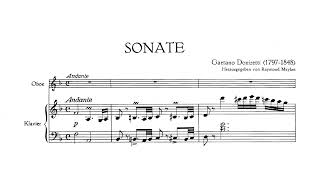 Download lagu Gaetano Donizetti - Oboe Sonata in F Major (A 504) mp3 Download lagu Gaetano Donizetti - Oboe Sonata in F Major (A 504) mp3