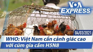Truyền hình VOA 4/3/21: WHO: Việt Nam cần cảnh giác cao với cúm gia cầm H5N8