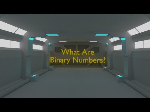 What are binary numbers?