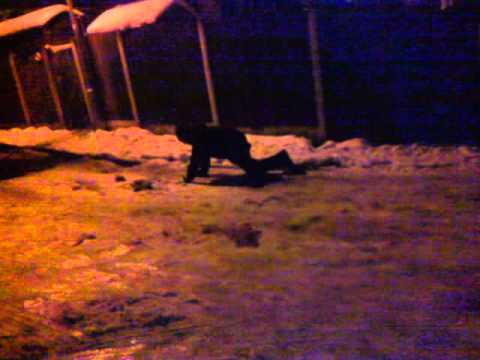 jamie frail (tuni) fallin on ice!! kimi park