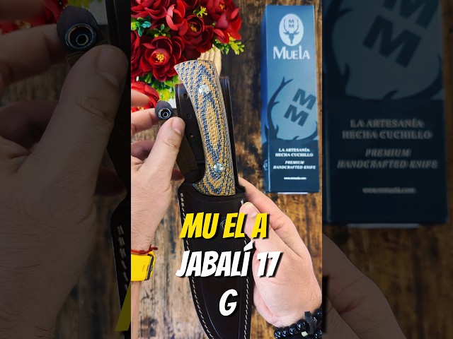 Vídeo relacionado con Muela Cuchillo Jabali JABALI-17E hoja de acero MoVa de 17 cm y empuñadura de madera coral para Caza, Pesca, Supervivencia y Bushcraft - Realizado en Ciudad Real