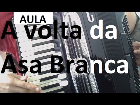 Volta Da Asa Branca video